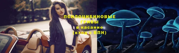 гашик Армянск