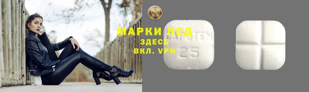 гашик Армянск