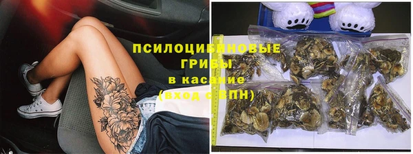 гашик Армянск