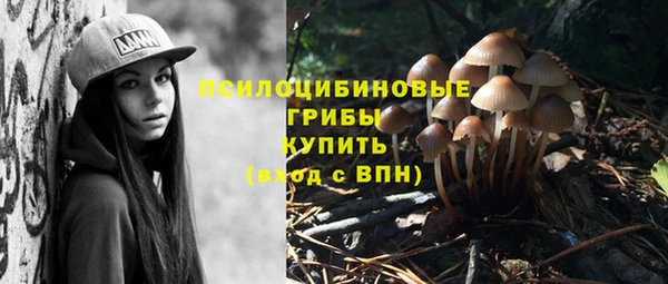 Альфа ПВП Арсеньев