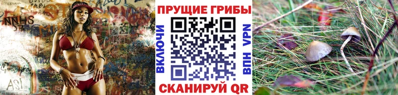 Галлюциногенные грибы GOLDEN TEACHER  цена   Балашов 