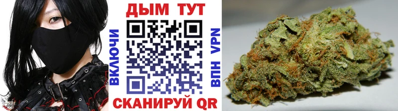 Конопля сатива Балашов